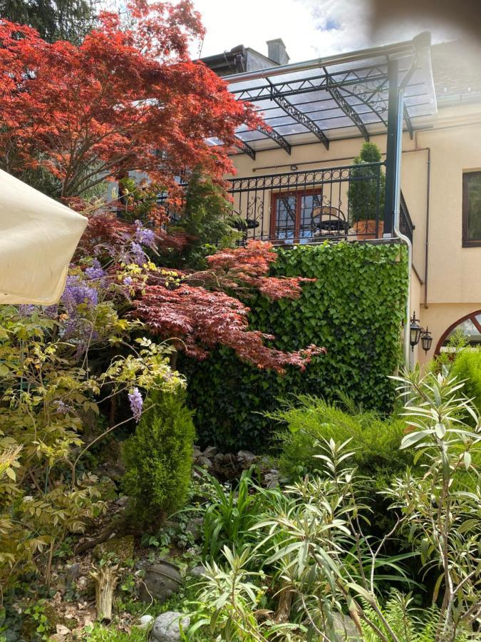 Garden House Bed & Breakfast Apatin Dış mekan fotoğraf